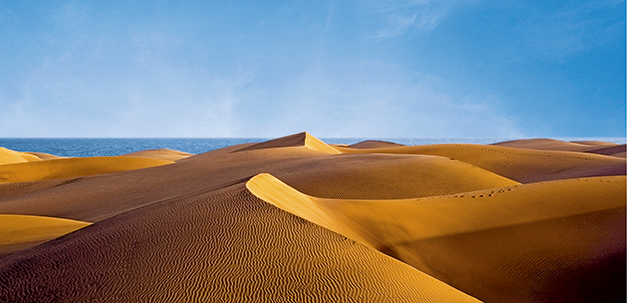 Die Sanddünen von Gran Canaria
