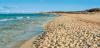 Es Cavallet Strand