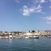 Guernsey_1080x1080.jpg